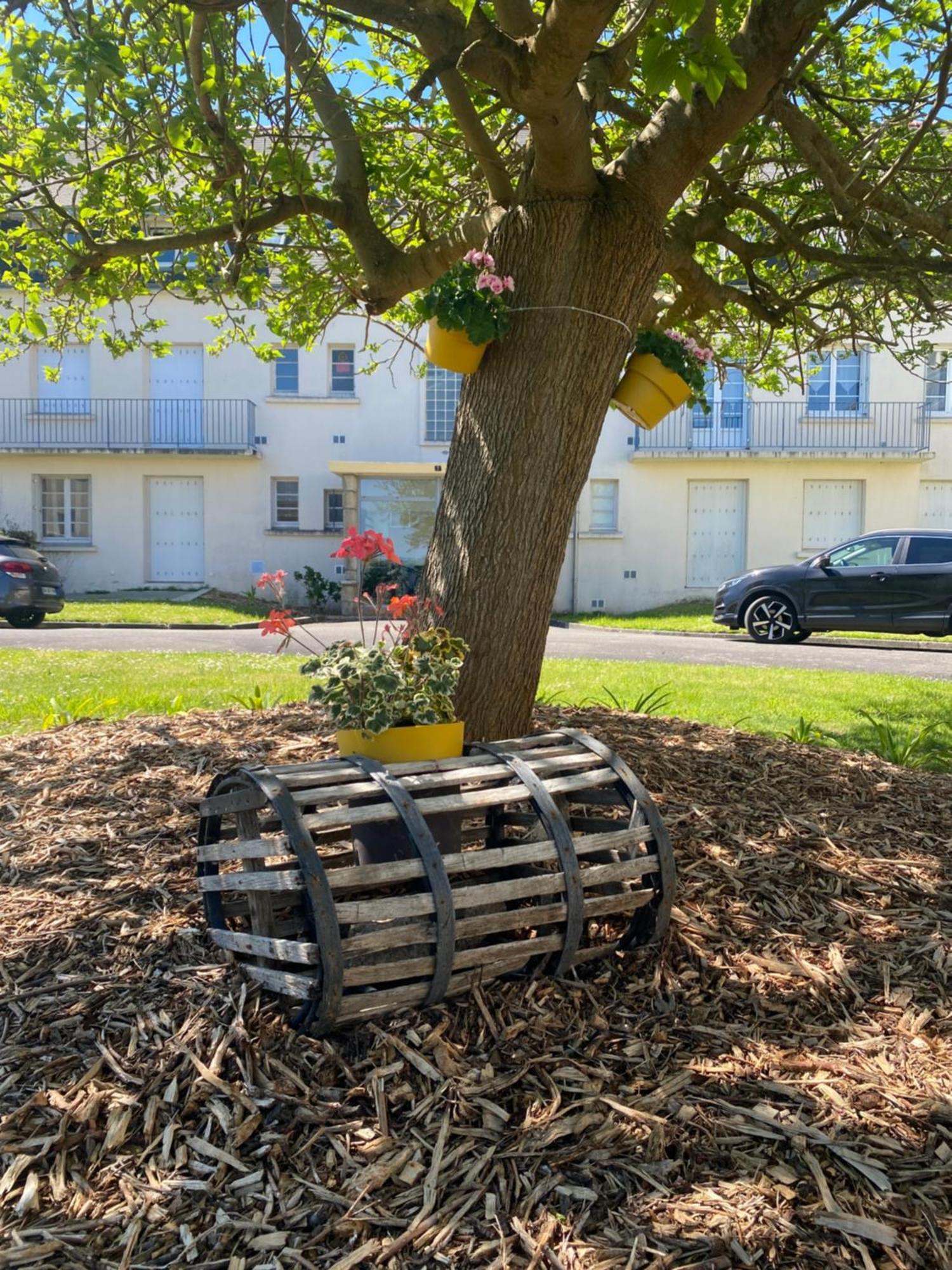 Superbe appartement à LOCTUDY calme, Océan, 200m plage Extérieur photo